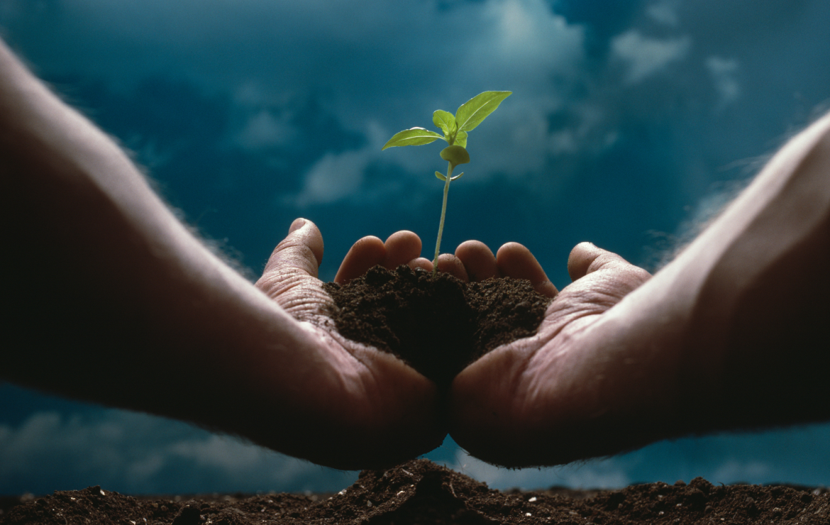 Personal Growth